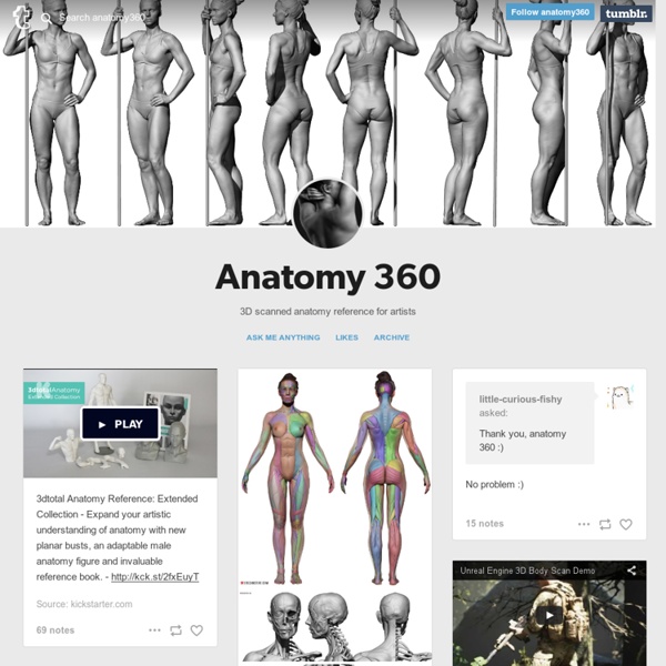 Anatomy 360