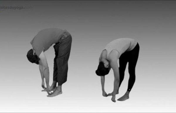 Séance complète yoga : soulager le mal de dos