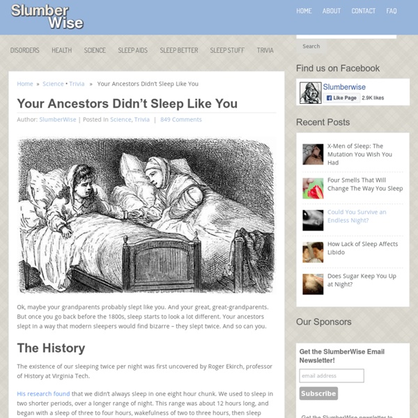 Your Ancestors Didn’t Sleep Like You - SlumberWise