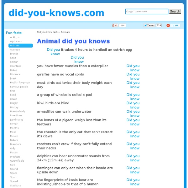 Animal did you knows