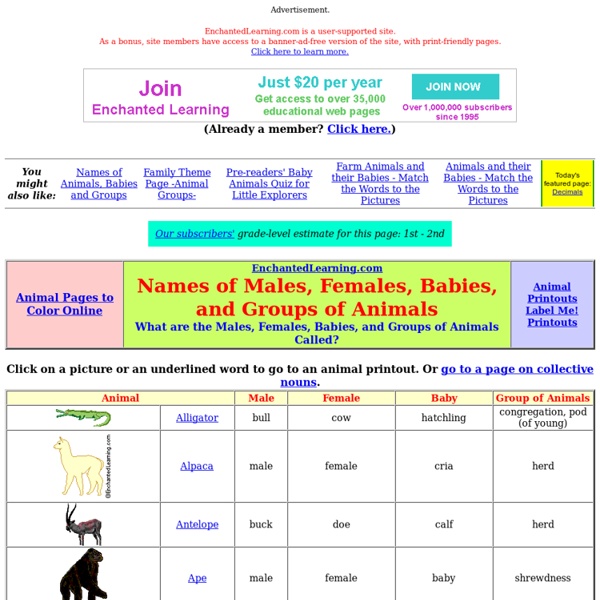 Names Of Animals Babies And Groups Enchantedlearning Com