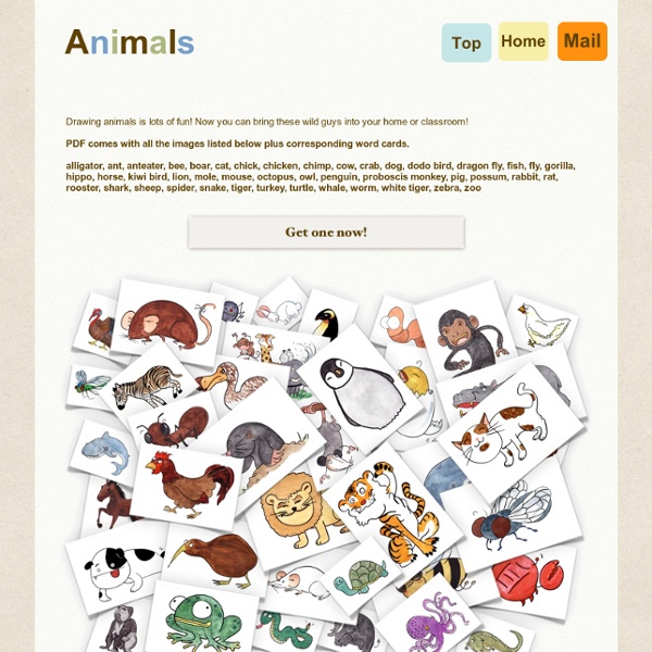Animals flash cards