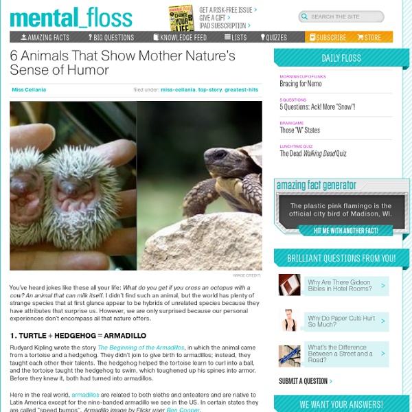 Mental_floss Blog & 6 Animals That Show Mother Nature's Sense of Humor