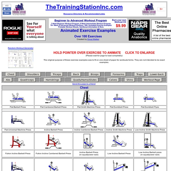Animated Exercise Examples - TheTrainingStationInc.com©- Exercises