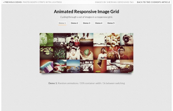 Animated Responsive Image Grid