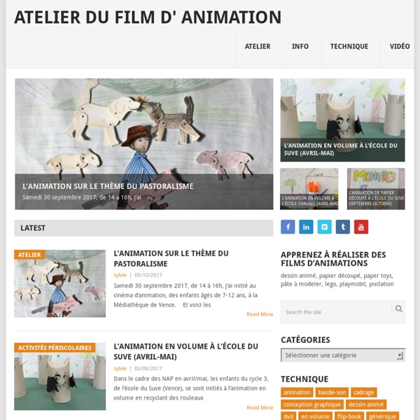 Atelier du Film d' Animation – Apprenez à réaliser des films d'animations : dessin animé, papier découpé, pâte à modeler, lego, playmobil, pixilation.