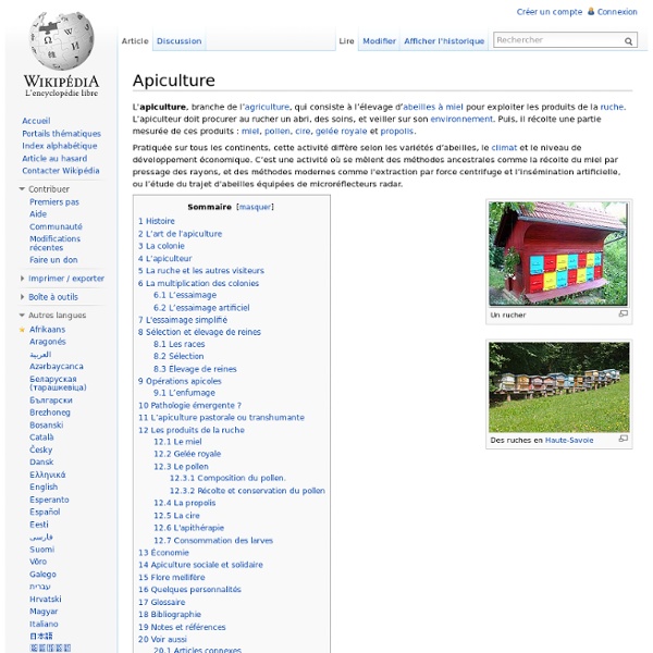 Apiculture ( définition )