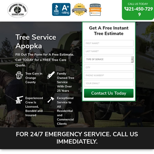 Apopka - Tree Service Orlando