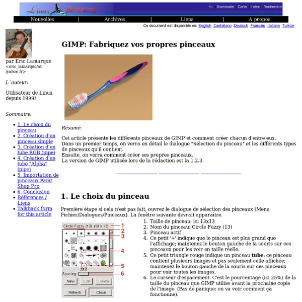 Lf314, Applications: GIMP: Fabriquez vos propres pinceaux
