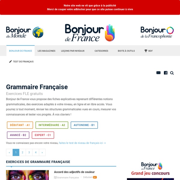 Cours et exercices de grammaire française : Niveau débutant A0