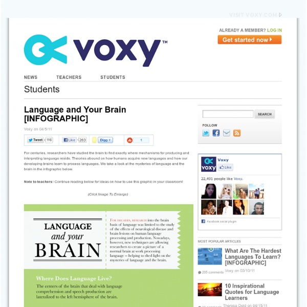 Language and Your Brain [INFOGRAPHIC]