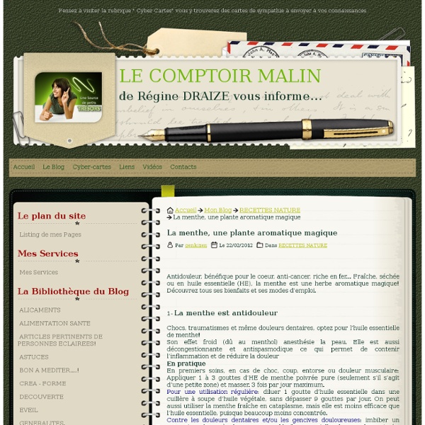 La menthe, une plante aromatique magique - LE COMPTOIR MALIN