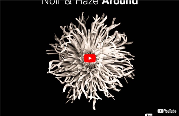 Noir & Haze - Around [Solomun Vox Mix] - NMB037