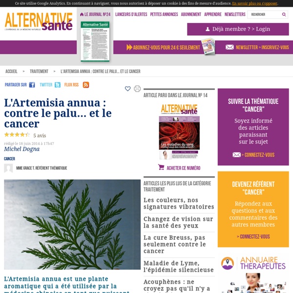 L'Artemisia annua contre le cancer