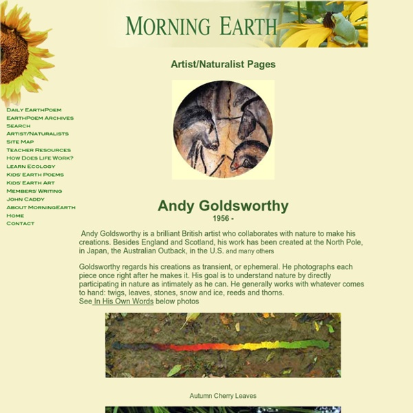 Artist/Naturalist Andy Goldsworthy