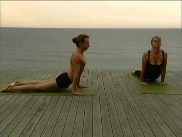 Ashtanga Vinyasa Yoga 22 postures - cours complet