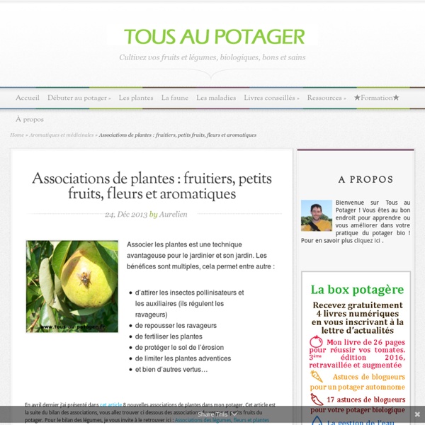 Associations de plantes : fruitiers, petits fruits, fleurs et plantes aromatiques (bilan 2013)