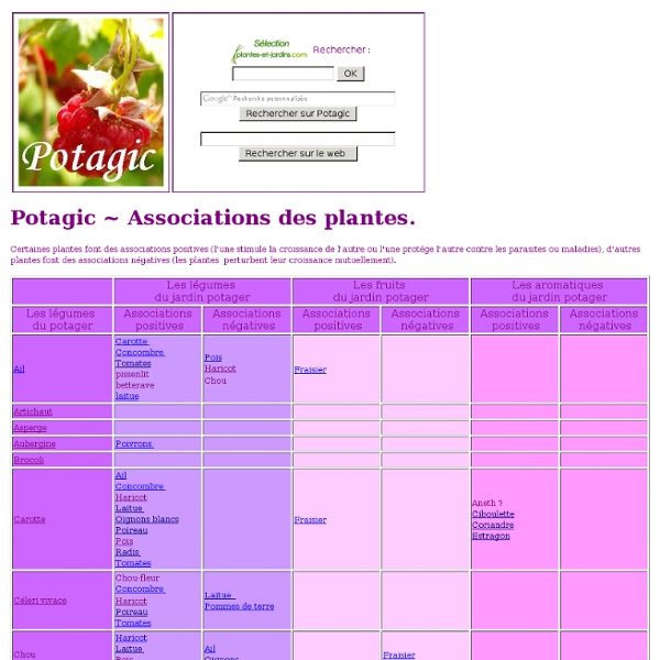 Associations positives/négatives des plantes dans le jardin potager Potagic