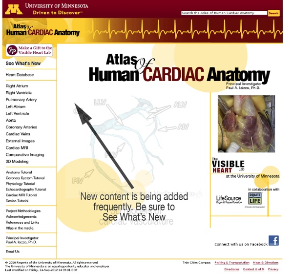 Atlas of Human Cardiac Anatomy