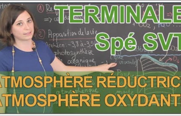 Atmosphère réductrice & atmosphère oxydante (Vidéo)