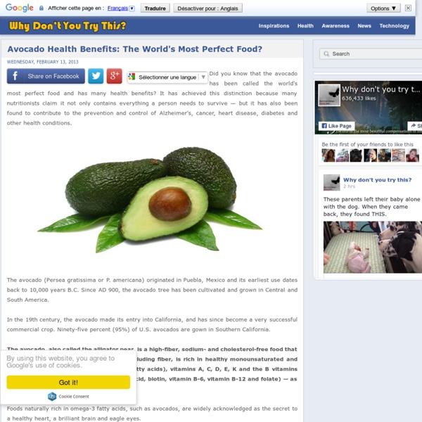 Avocado Health Benefits: The World's Most Perfect Food?
