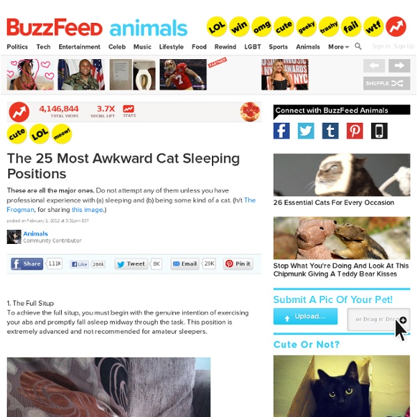 The 25 Most Awkward Cat Sleeping Positions
