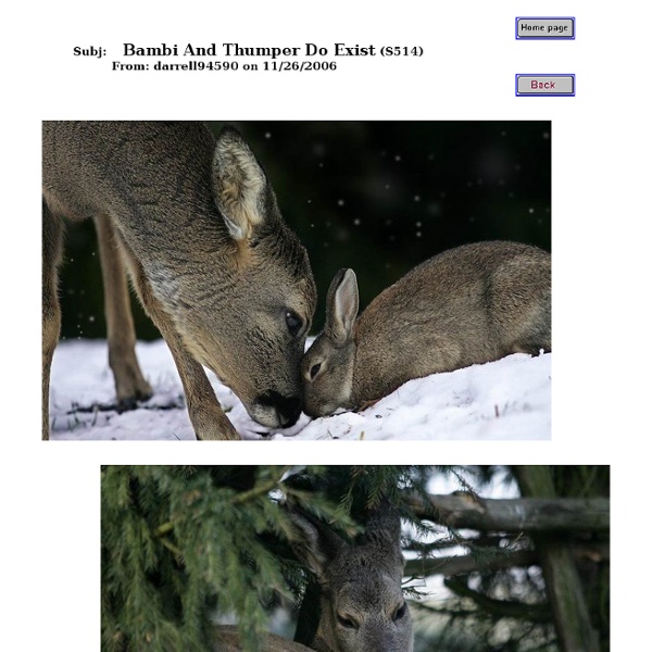 Bambi and Thumper do exist