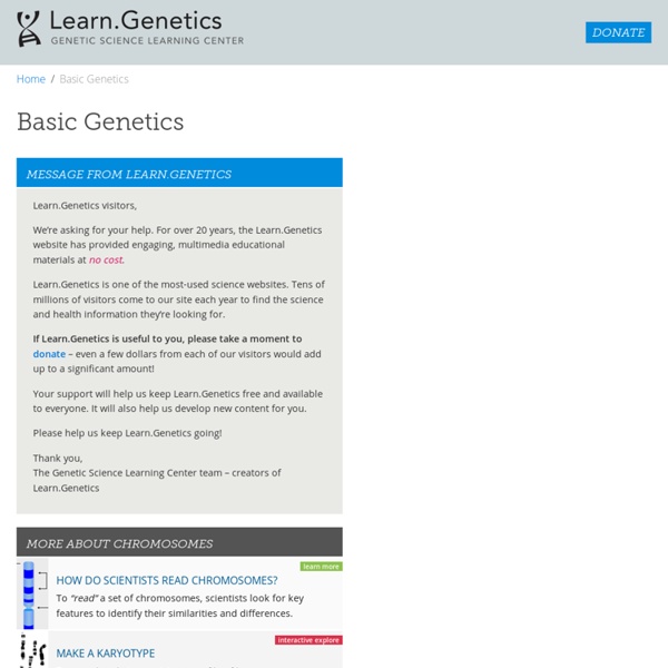 Tour of Basic Genetics