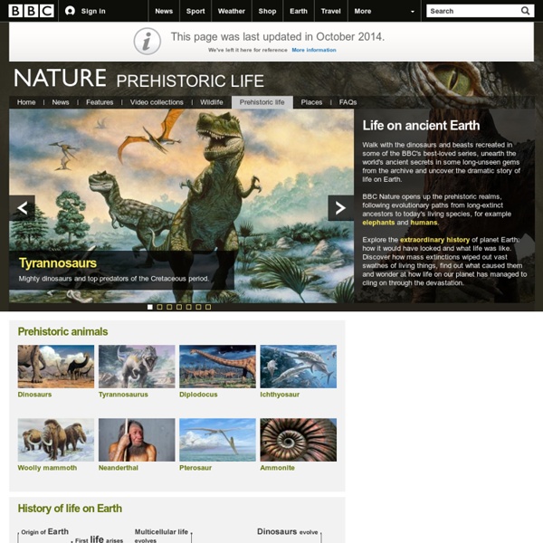 BBC Nature - Prehistoric Life