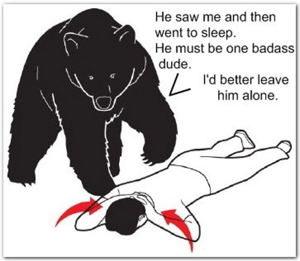 Bear-rules.jpg (JPEG Image, 363x316 pixels)