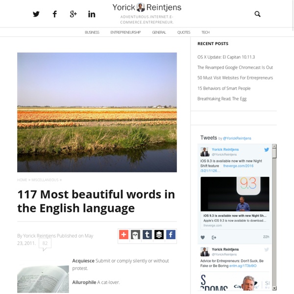 117 Most beautiful words in the English language