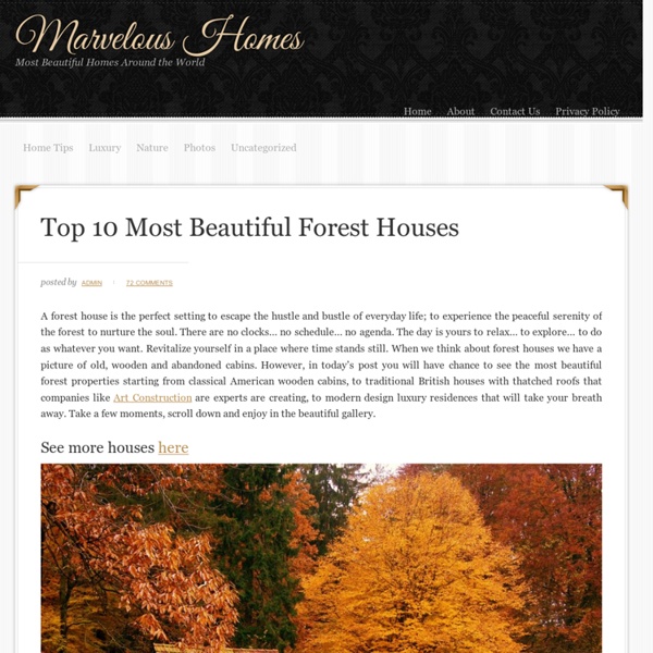 Top 10 Most Beautiful Forest House