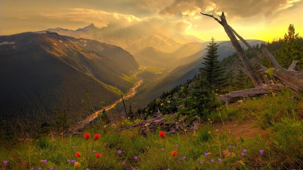 Beautiful-clouds-flowers-forests-mountains-nature-river-springtime-sunshine-valley-768x1366.jpg (JPEG Image, 1366 × 768 pixels)