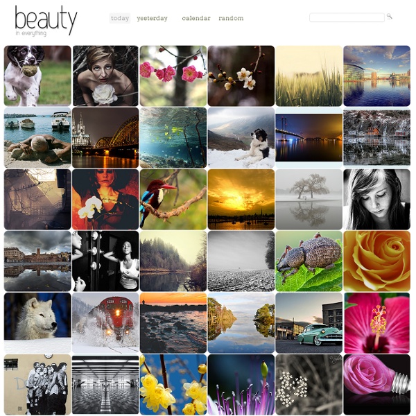 Beauty in Everything - Photography