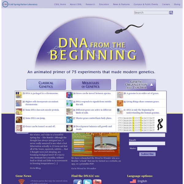 DNA from the Beginning -animated experiments