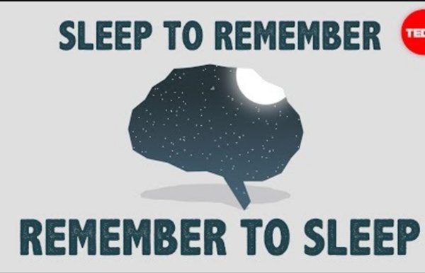 The benefits of a good night's sleep - Shai Marcu