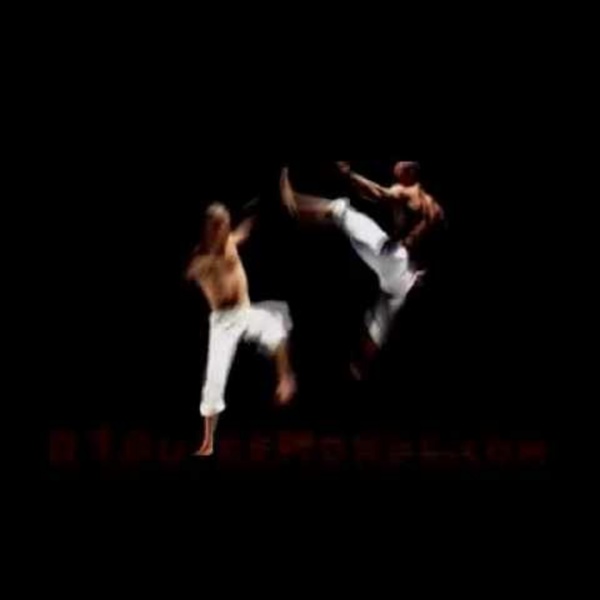 The best capoeira video ever