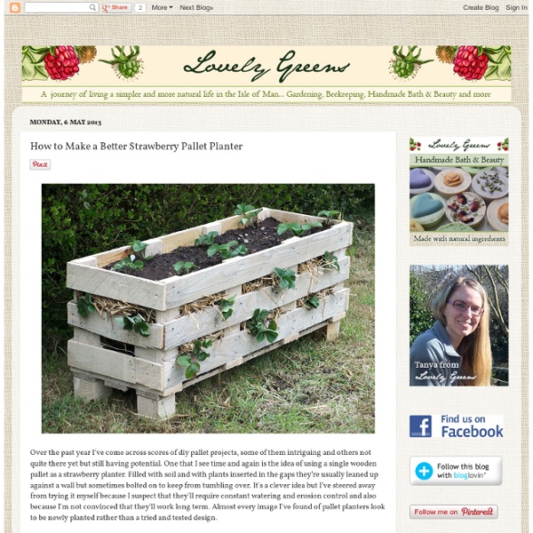 * Lovely Greens *: How to Make a Better Strawberry Pallet Planter
