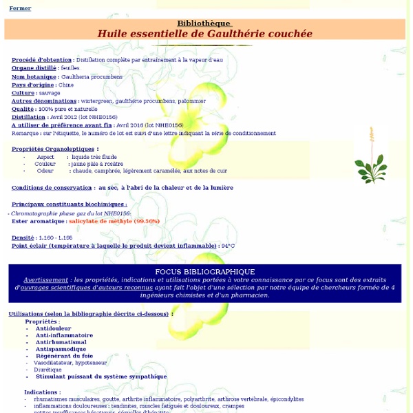 Bibliothèque huile essentielle huile essentielle de Gaulthérie (Wintergreen) - Gaultheria procumbens