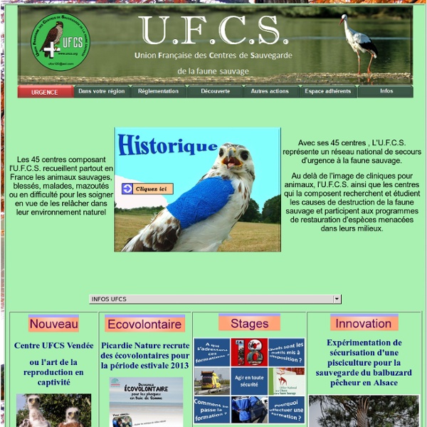 UFCS : Union Françaises des Centres de sauvegarde