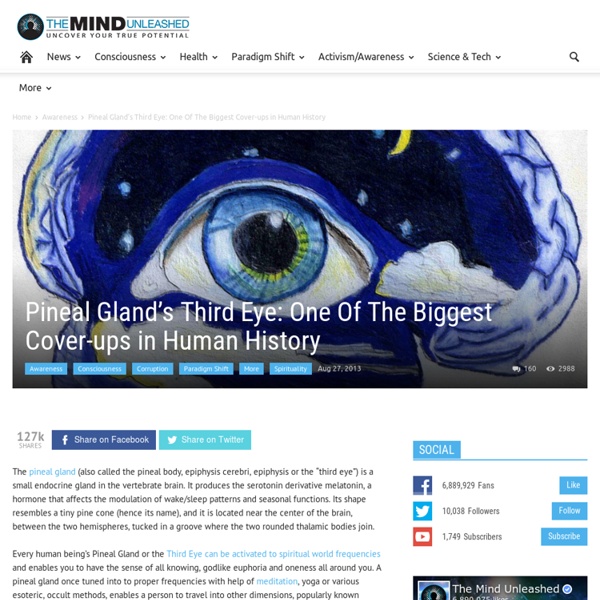 Pineal Gland's Third Eye: One Of The Biggest Cover-ups in Human History