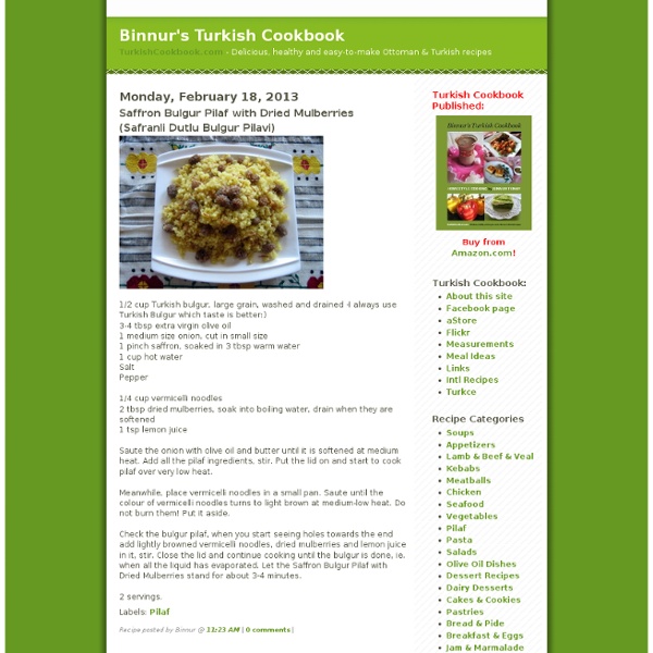 Binnur's Turkish Cookbook