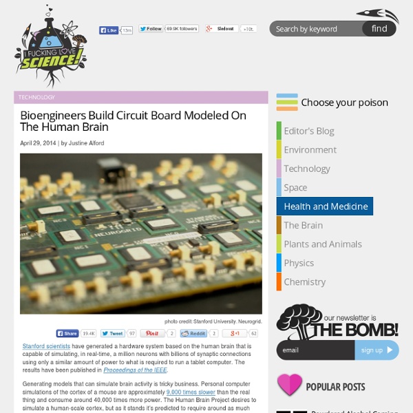 Bioengineers Build Circuit Board Modeled On The Human Brain