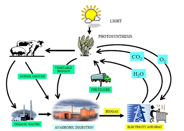 Biogas.jpg (immagine JPEG, 607 × 435 pixel)