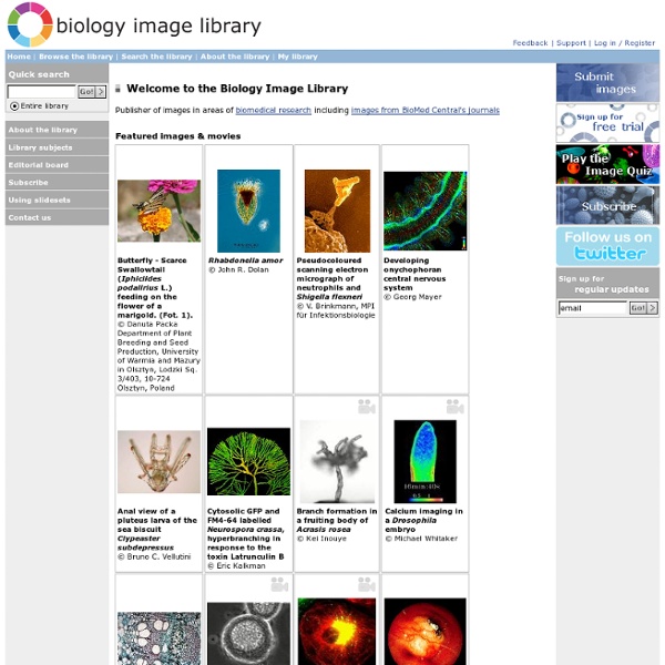 Biology Image Library