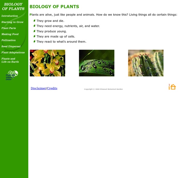Biology of Plants: Introduction