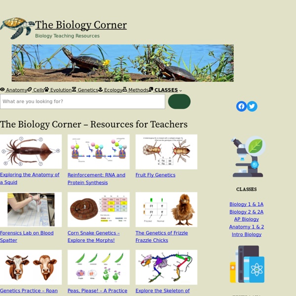 The Biology Corner has been a trusted source for high school biology curriculum (lessons and labs)and resources for almost 20 years!