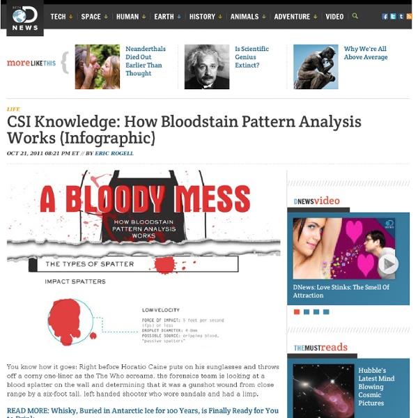 CSI Knowledge: How Bloodstain Pattern Analysis Works (Infographic) : Discovery Channel