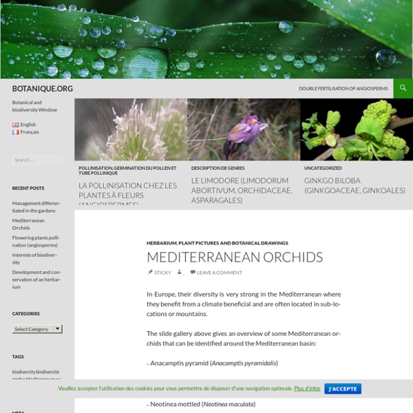BOTANIQUE.ORG - Fenêtre sur la botanique et la biodiversité