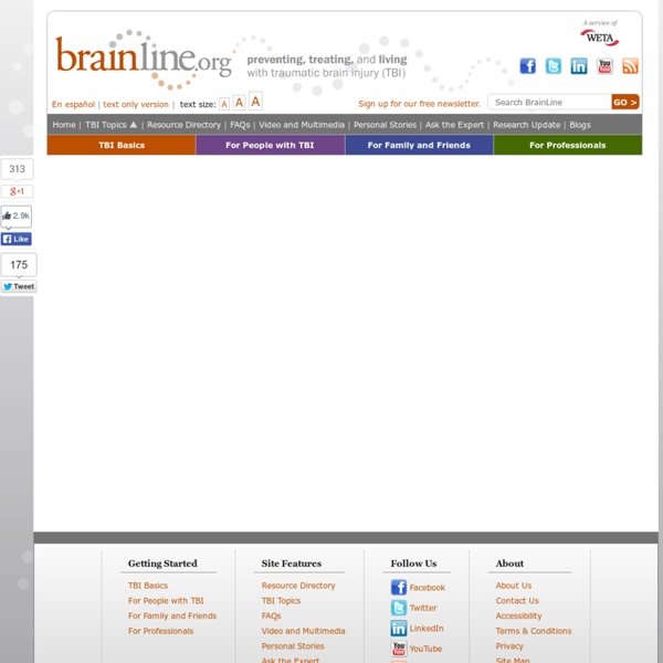 Brain Basics - 3D Model of Brain Injury